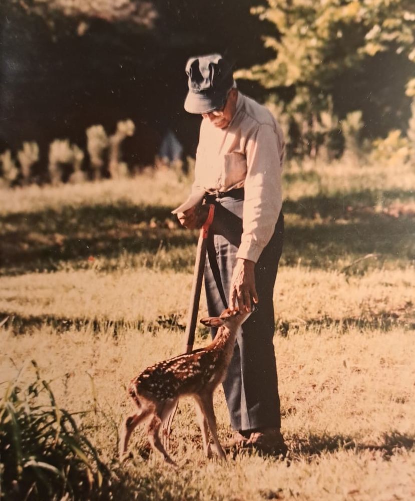 Joseph Nahas with a fawn, 1980s