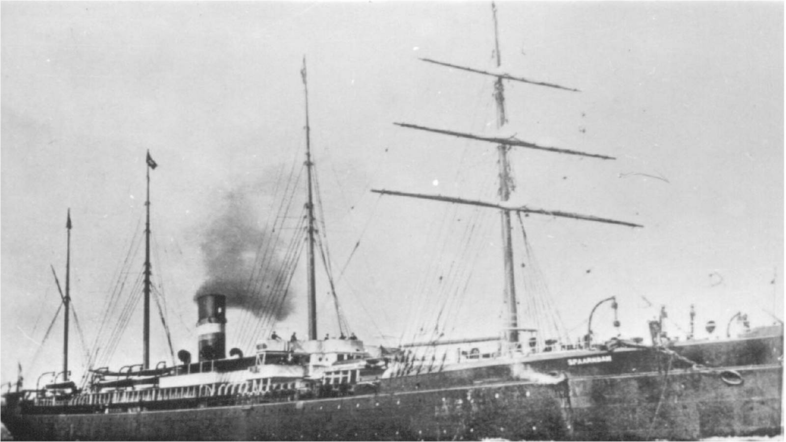 Ship Manifest (Spaarndam, 1895)